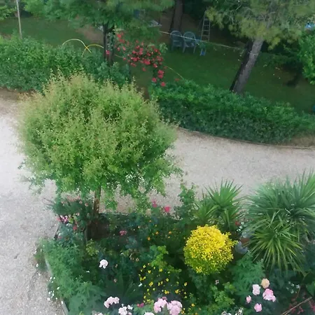 Casa Di Gino * Cossignano